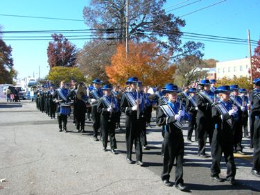 Download Veterans' Day Parade (375Wx281H)